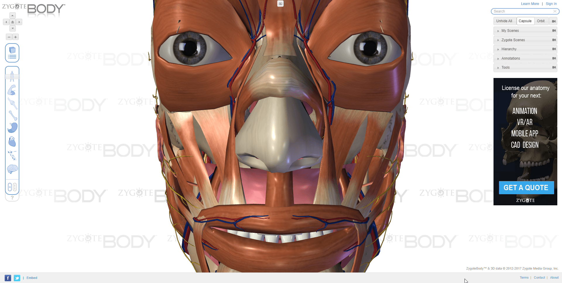 Zygote Body Anatomy 3D Interactive Presentation